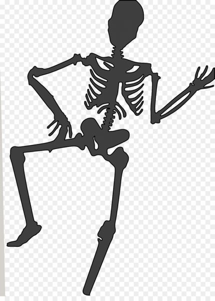 Раскраска скелет