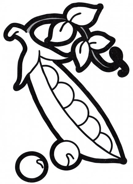 Горох раскраска для детей