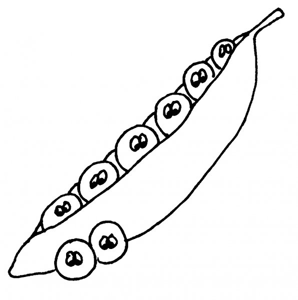 Горошек раскраска