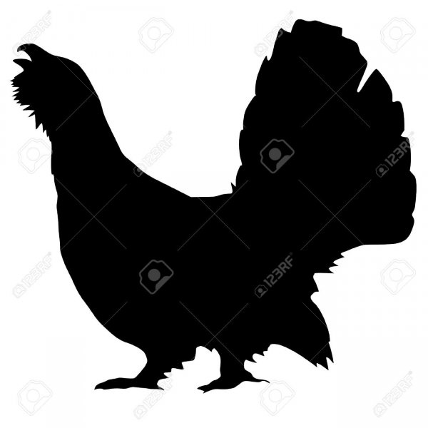 Мишень Глухарь