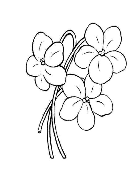 Маленькие цветы очертания