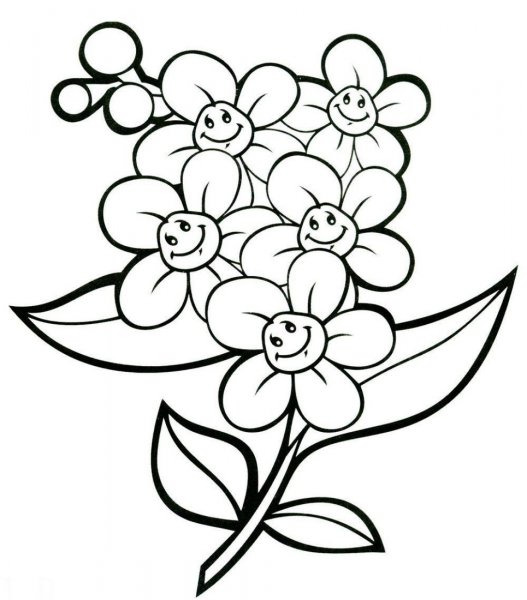 Букет полевых цветов раскраска