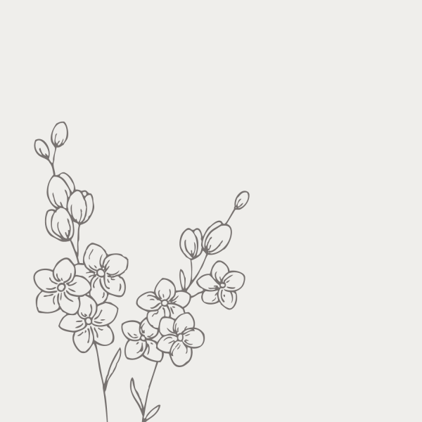 Незабудка силуэт