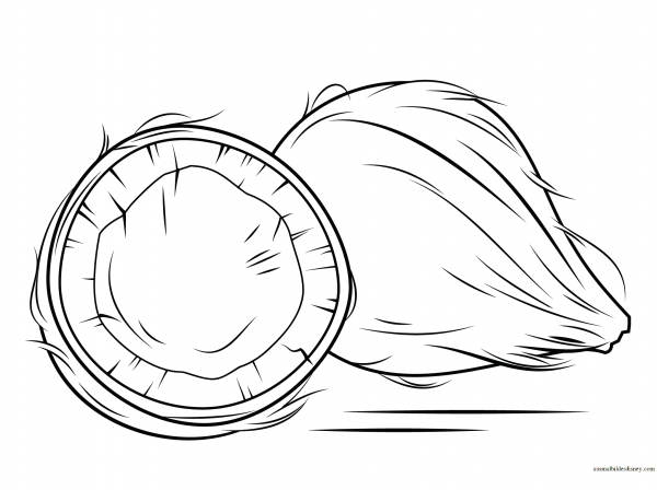 Кокос раскраска для детей