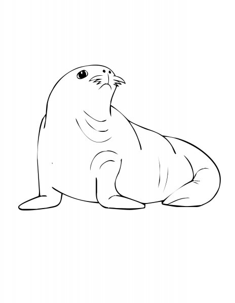 Маска котика раскраска