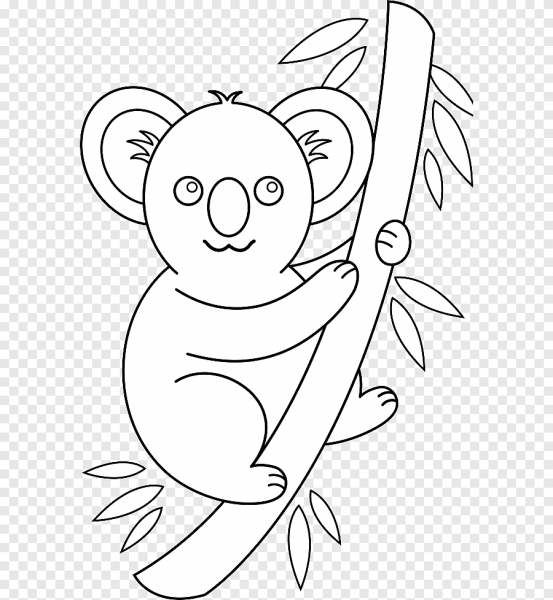 Коала контур