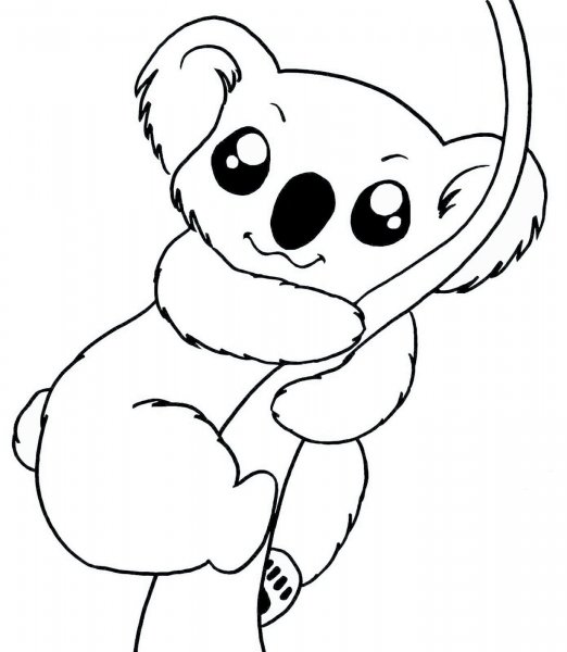 Коала для раскрашивания детям