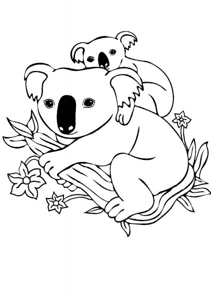 Раскраска Панда и коала