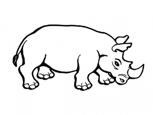 Контурное изображение животных для детей