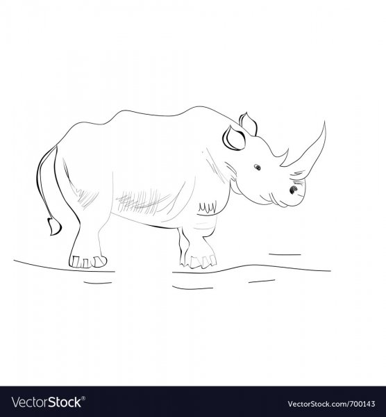 Носорог для детей