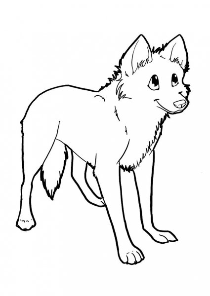 Раскраска волк