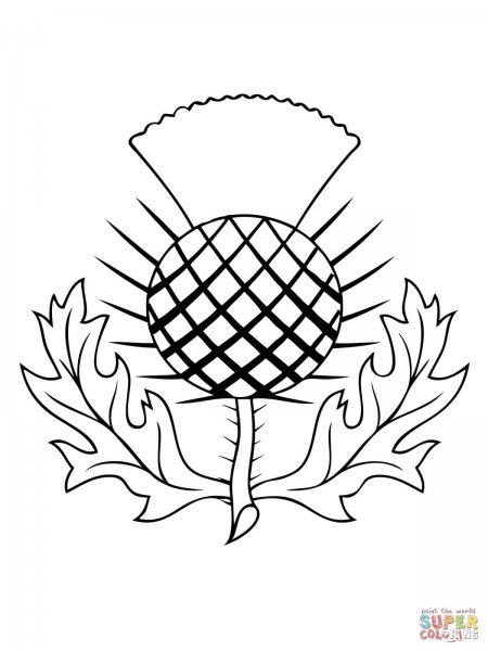 Репейник раскраска для детей