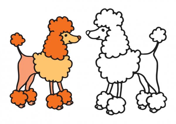 Трафарет пуделя