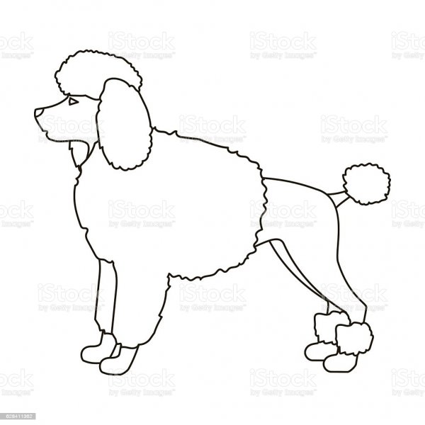 Трафарет пуделя для аппликации