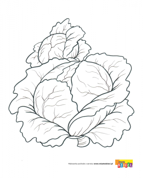 Капуста раскраска для малышей