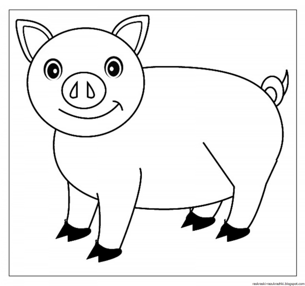 Хрюшка раскраска для детей