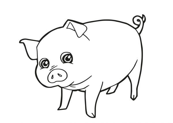 Раскраски маленькие свинки