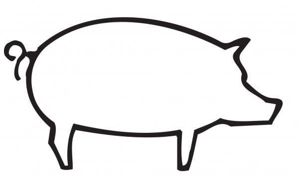 Свинья и картина вектор