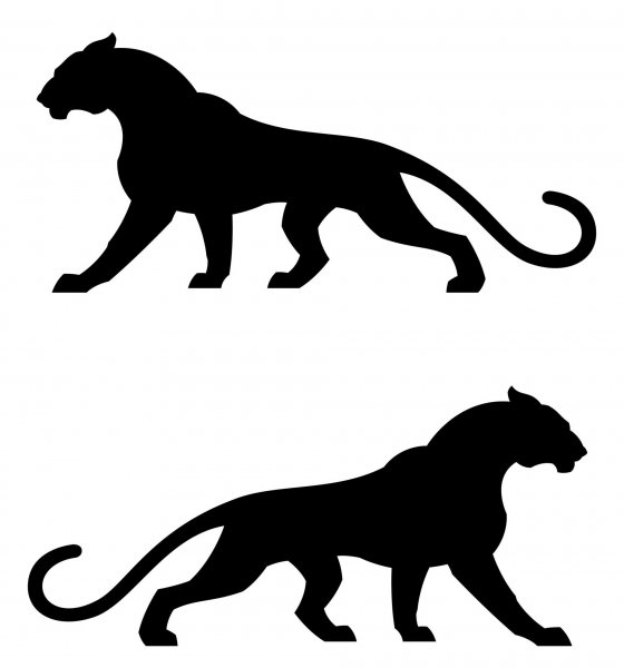 Силуэт пантеры