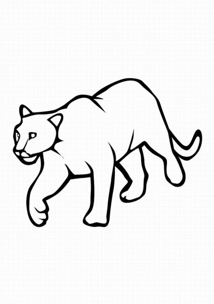 Раскраска пантера
