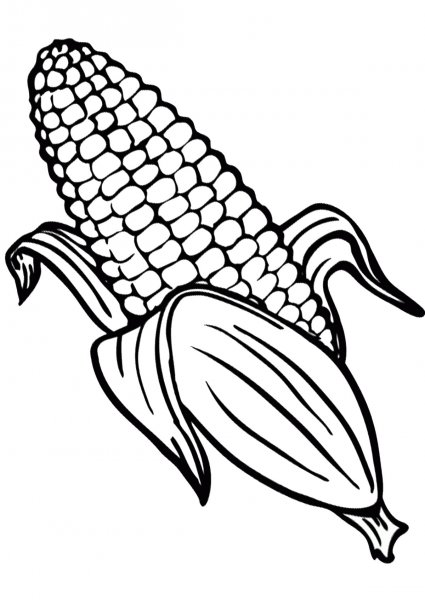 Кукуруза контур