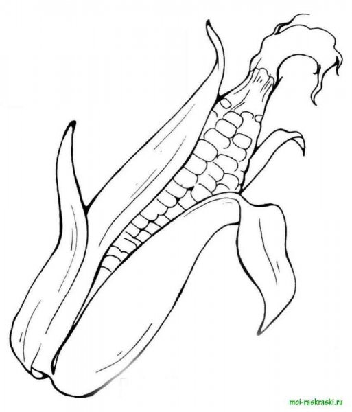 Початок кукурузы раскраска