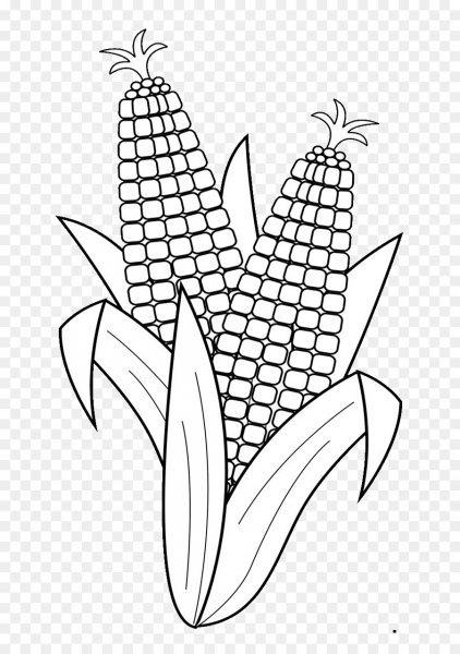 Кукуруза раскраска