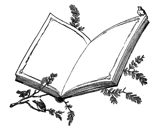 Рисунок развернутой книги