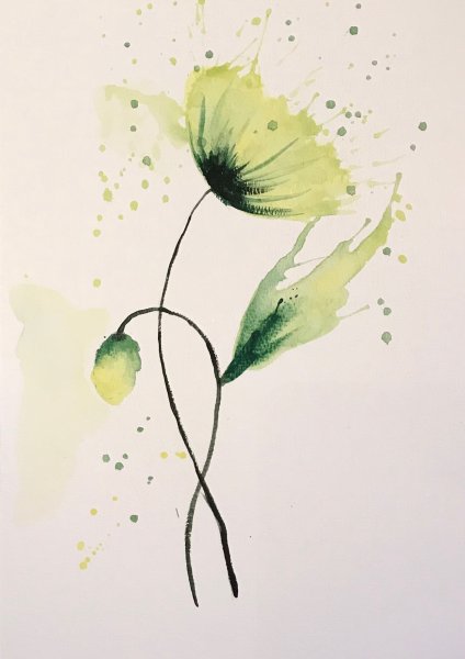 Зарисовки растений акварелью