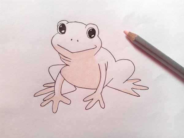 Лягушка карандашом для детей