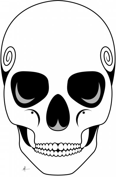 Череп контур