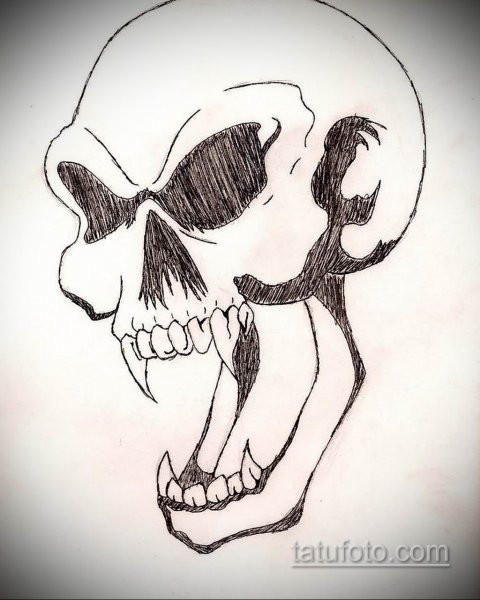 Череп для рисования