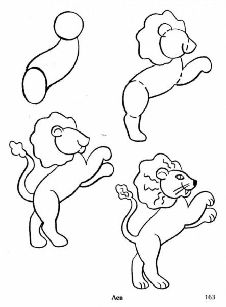 Поэтапное рисование Льва для дошкольников