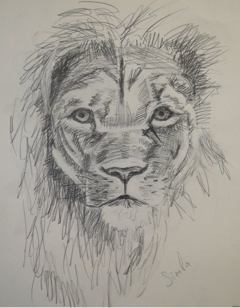 Рисунки Львов карандашом