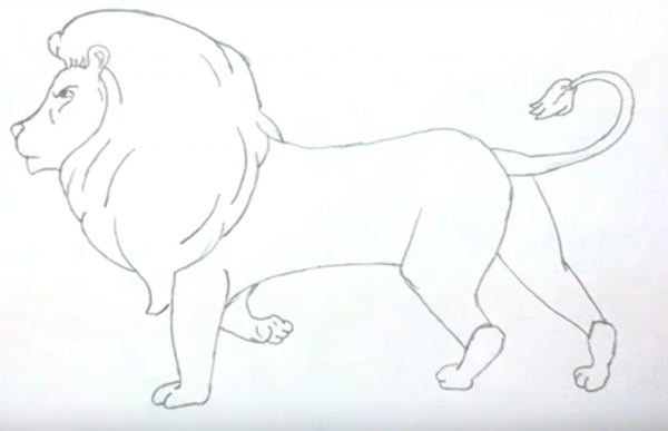 Рисовать Льва поэтапно карандашом