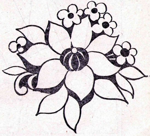 Раскраска цветы