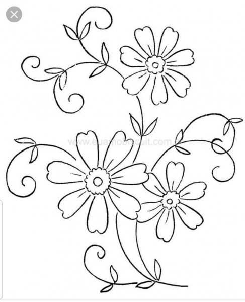 Цветы карандашом