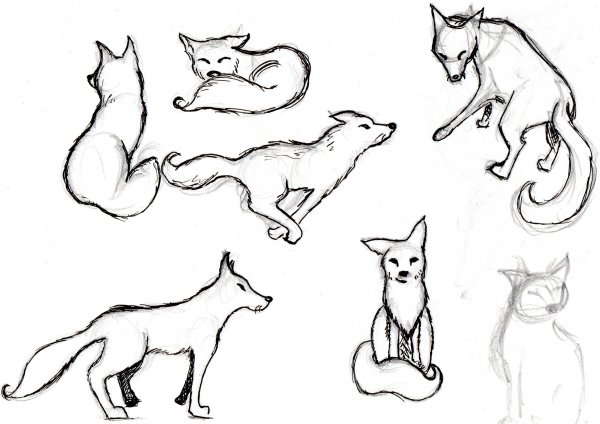 Рисунок лисы карандашом для детей