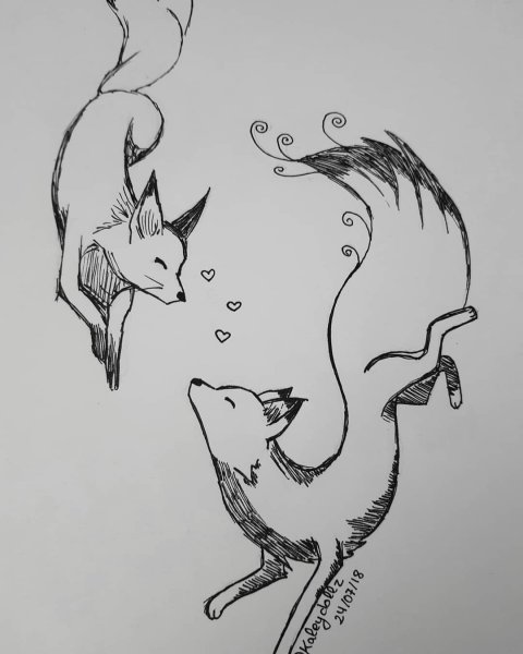 Рисунок лисы для срисовки