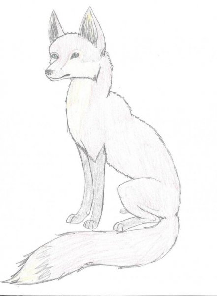 Лиса карандашом
