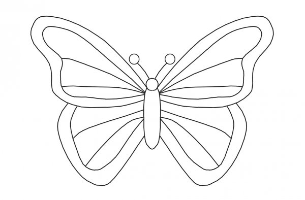 Симметричная бабочка раскраска