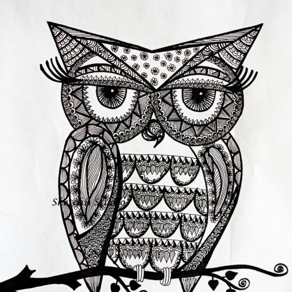 Сова Зентангл рисунок