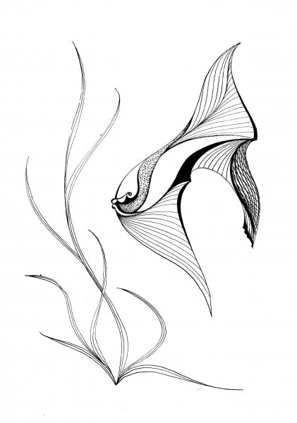 Графические зарисовки