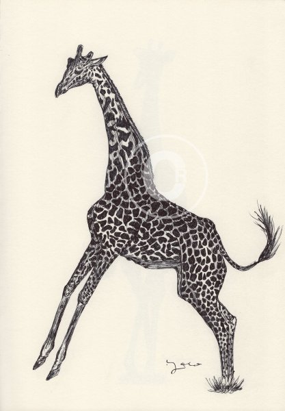 Поэтапное рисование жирафа