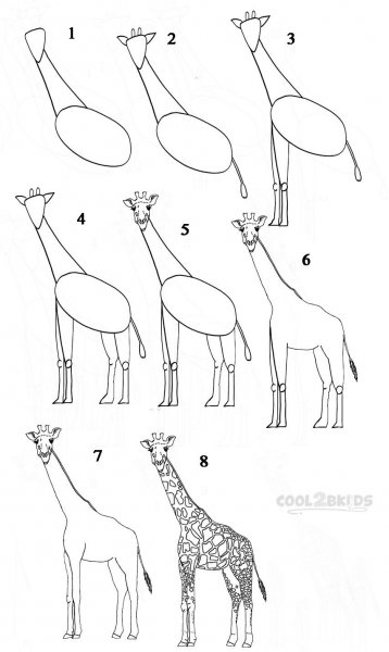 Поэтапное рисование жирафа для дошкольников