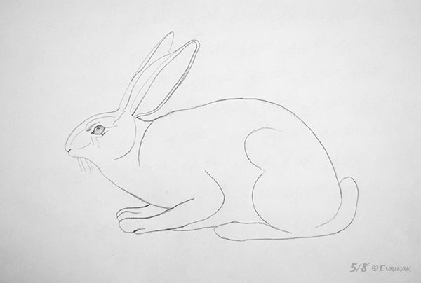 Рисование зайца в средней группе