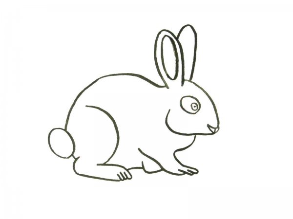Заяц рисунок карандашом для детей