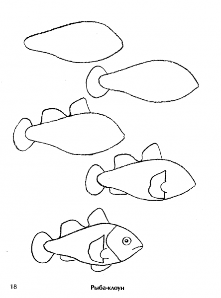 Пошаговое рисование рыб