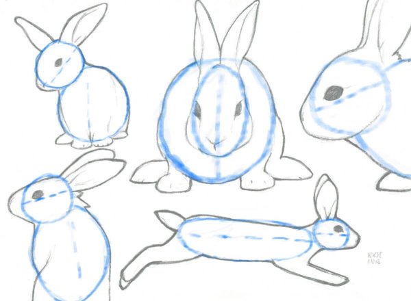Поэтапное рисование кролика для детей