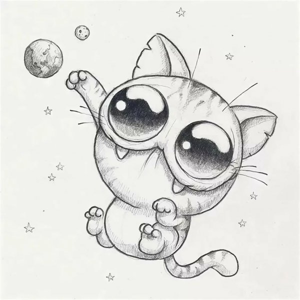 Chris Ryniak morning